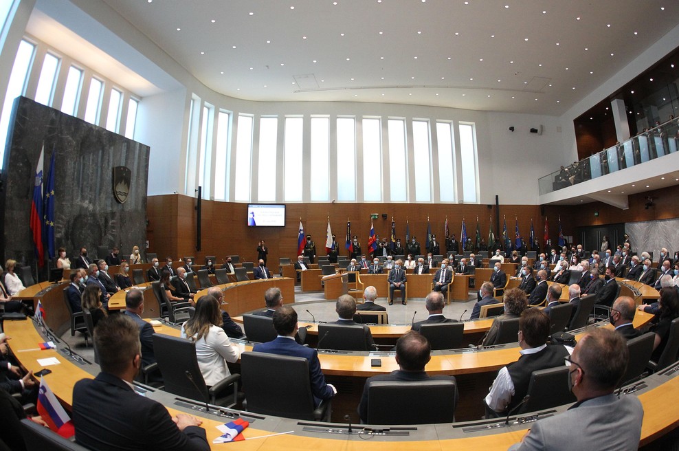 Zdaj je jasno, komu v DZ niso pomagali niti glasovi iz tujine (foto: Bobo)