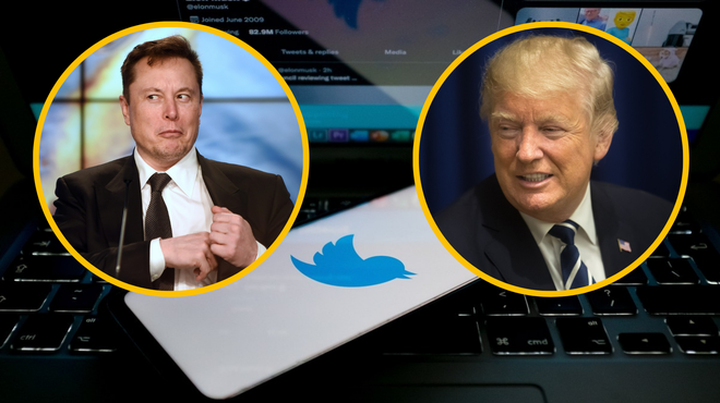 Se bo po Muskovem prevzemu na Twitter vrnil Donald Trump? (foto: Profimedia/fotomontaža)