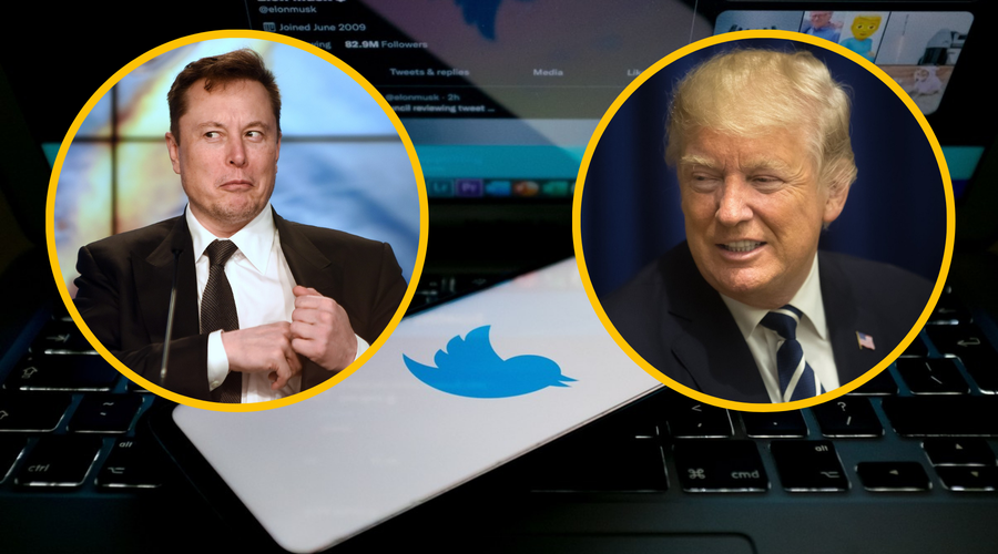 Se bo po Muskovem prevzemu na Twitter vrnil Donald Trump? (foto: Profimedia/fotomontaža)