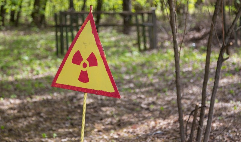 Znanstveniki so popolnoma zmedeni: kaj takega na območju Černobila še niso videli (FOTO)