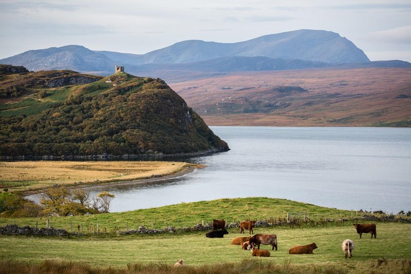 Škotska je v svetu poznana po kakovosti voda in svoji čudoviti naravi.