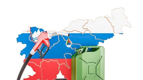 Je naše gorivo res cenejše kot v sosednjih državah?