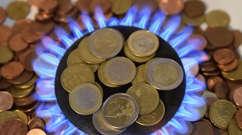 Cene energentov: kaj se je pocenilo in kaj podražilo?