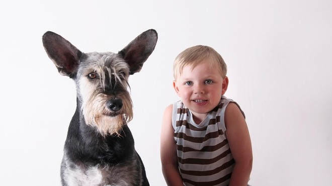 Če eno človeško ni sedem pasjih let – koliko je potem star vaš pes? (foto: Profimedia)