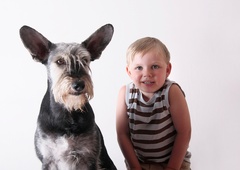 Če eno človeško ni sedem pasjih let – koliko je potem star vaš pes?