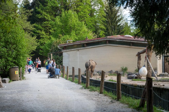 Nekaj takšnega se bo v ljubljanskem živalskem vrtu zgodilo prvič