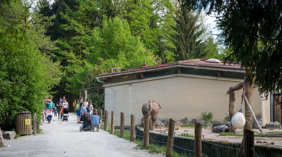 Nekaj takšnega se bo v ljubljanskem živalskem vrtu zgodilo prvič (foto: Profimedia)
