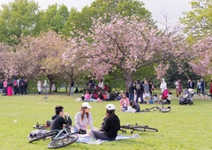 Naša država je edina članica EU, ki praznuje tudi na ta dan