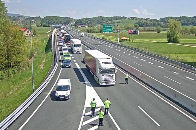 Nevarnost na naših cestah: zaradi živali močno oviran promet
