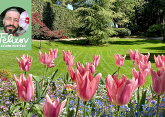 Naučite se selektivne košnje trate s Srečkom Blasom!