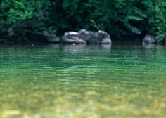 V slovenski reki našli nekaj, kar jih je močno pretreslo