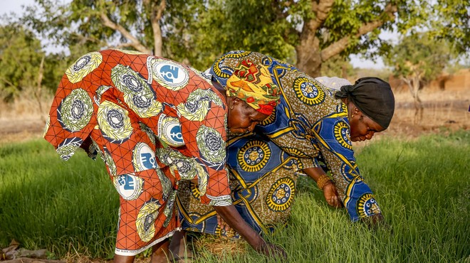 Kmetovalki v Burkina fasu (foto: Profimedia)