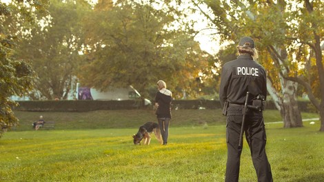 Kaj preverja policija, ko med sprehodom ustavi pasjega skrbnika?