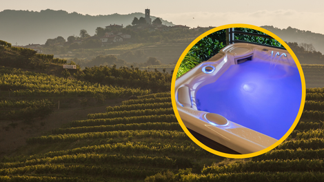 Med vinogradi bodo gradili luksuzni hotel! Kaj vse načrtujejo?