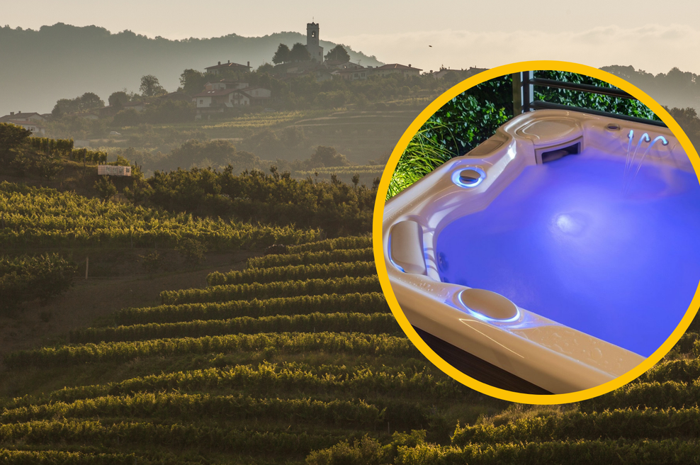 Med vinogradi bodo gradili luksuzni hotel! Kaj vse načrtujejo? (foto: Bobo/Profimedia/fotomontaža)