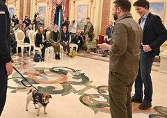 POGLEJTE, kako je Zelenski nagradil psa, ki v Ukrajini rešuje življenje