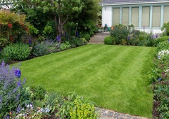 Ste vedeli, da trata na vašem dvorišču lahko škodi okolju?