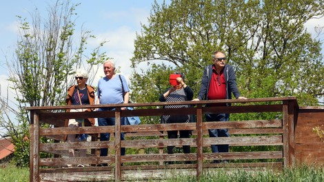 Arboretum Volčji Potok