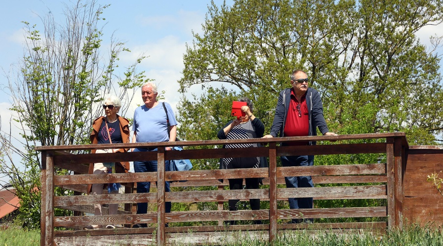 Arboretum Volčji Potok (foto: Bobo)