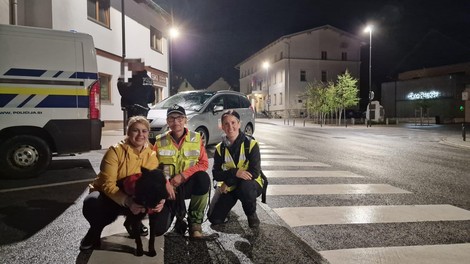 Srčna zgodba s srečnim koncem: pogrešano mladoletnico našel pes Edo