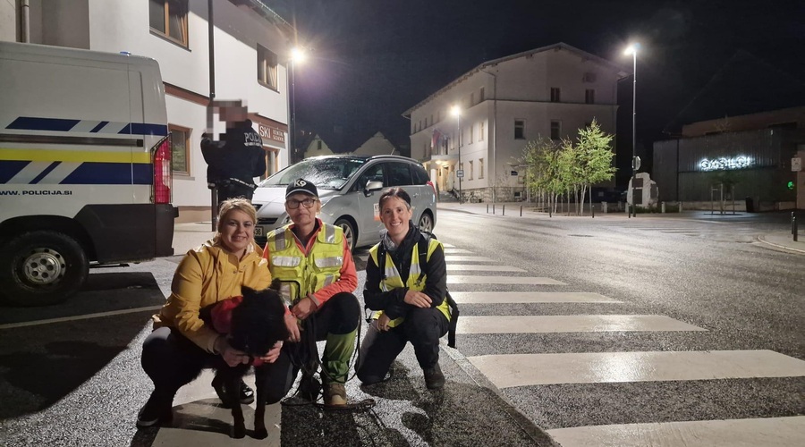 Srčna zgodba s srečnim koncem: pogrešano mladoletnico našel pes Edo (foto: Facebook K9)