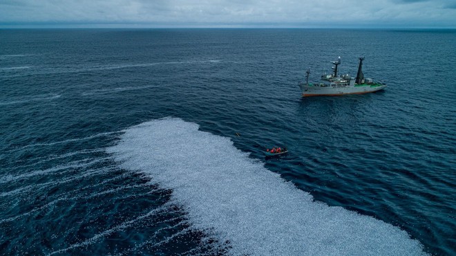 ŠOKANTNO: V morje odvrženih na MILIJONE ton mrtvih živali (foto: Profimedia)