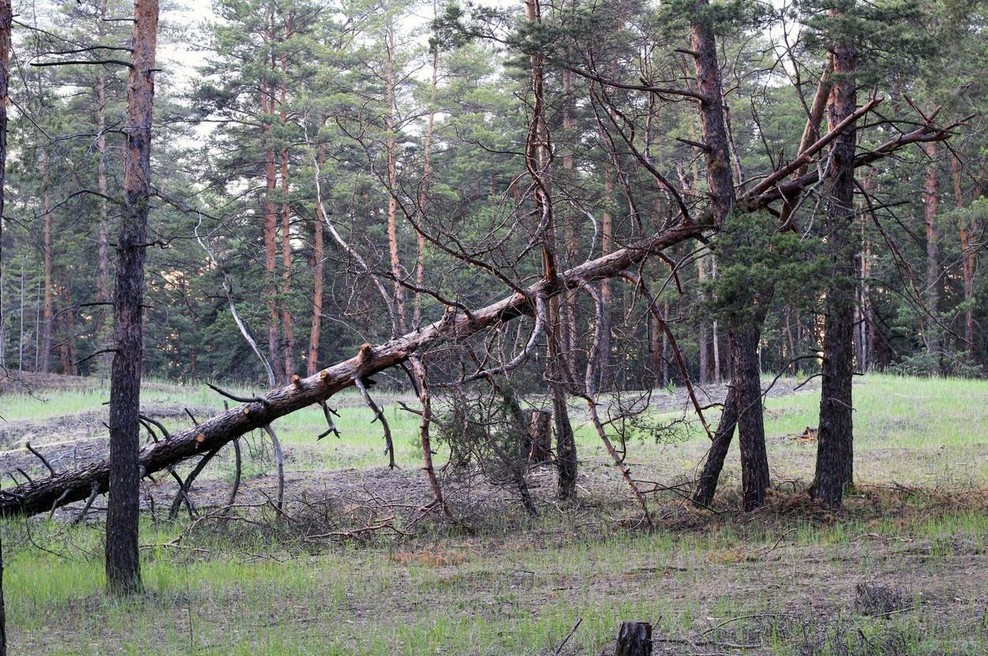 Slika je simbolična. (foto: Profimedia)