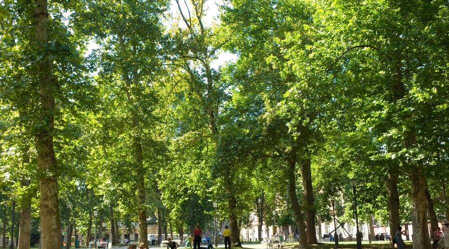 Na zelenih mestnih površinah tudi letos SIMPATIČNE table: ste jih že opazili? (foto: Profimedia)