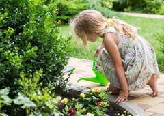 Rastline niso le lep okras: pomembnejše so, kot si mislite