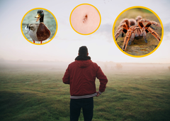 5 najbolj bizarnih strahov, s katerimi se soočajo ljudje