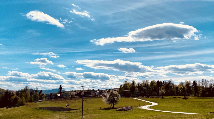 Se bodo temperature prihodnje dni še bolj dvignile? (foto: Aleksandra Saša Prelesnik)