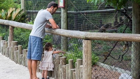 V ZOO Ljubljana se veselijo novih mladičkov