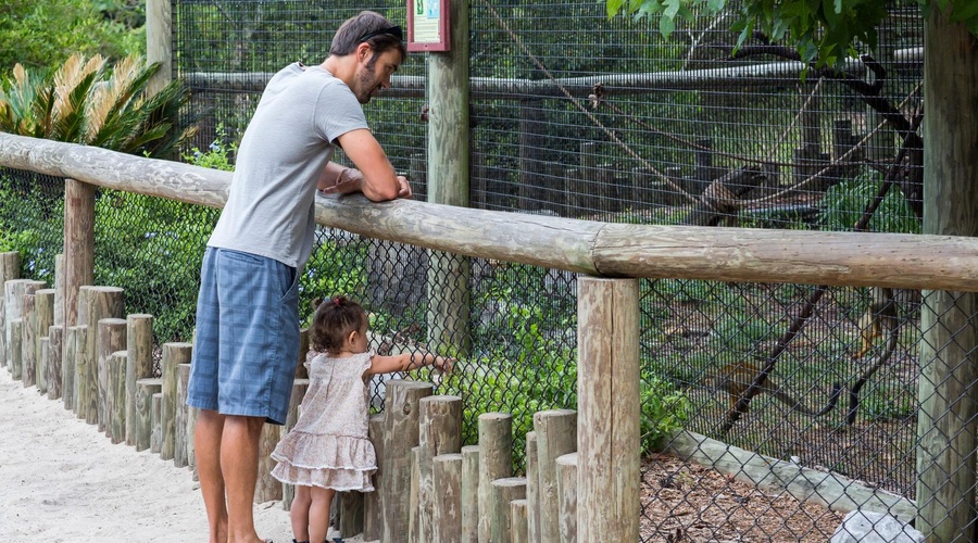 V ZOO Ljubljana se veselijo novih mladičkov (foto: Profimedia)