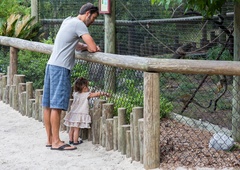 V ZOO Ljubljana se veselijo novih mladičkov