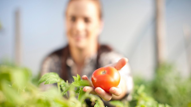 Kako nas sodobno kmetijstvo oropa kvalitetne prehrane? (foto: Profimedia)