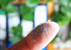 Hitro nabiranje prahu tik po čiščenju? TAKO ste lahko bolj učinkoviti