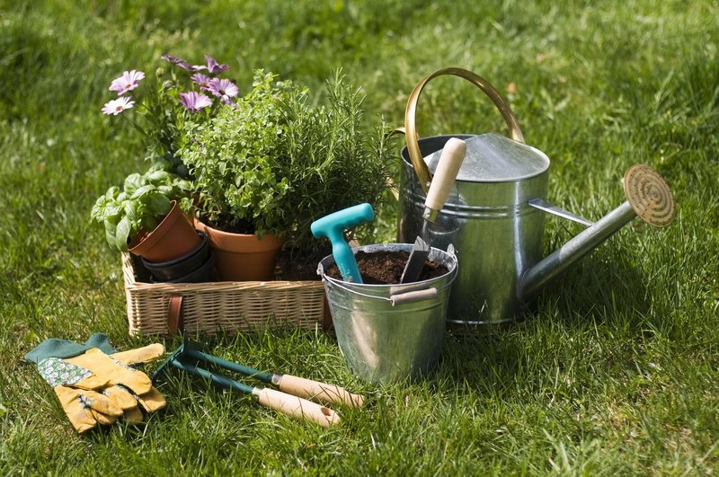 GreenVita Flora bo pravi raj za vse ljubitelje vrtičkov in narave.