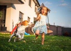 Poletna nevarnost za pse: iz Avstrije že poročajo o smrtnih primerih