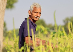 Življenje, ki ni vredno piškavega oreha (Zen zgodba)