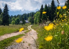 Kaj več kot 60 ukrajinskih športnikov, ki so pobegnili pred vojno, počne na Pokljuki?