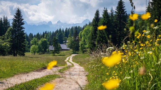 Pokljuka pridobila novo progo: "Za nas je pomembno, da smo športnike končno umaknili s ceste in jim na treningih zagotovili varnost" (foto: Profimedia)