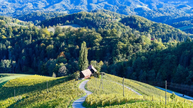 Slovenija, vinorodna dežela, bo svetu postregla z najboljšim! (foto: Profimedia)