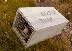 V trgovino z divjimi živalmi je vpletenih več kot 1200 vrst