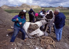 Kdo je bil 'Zmaj smrti', ki so ga paleontologi odkrili v Argentini?