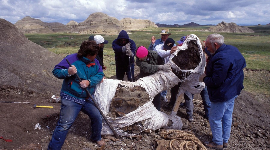 Kdo je bil 'Zmaj smrti', ki so ga paleontologi odkrili v Argentini? (foto: Profimedia)