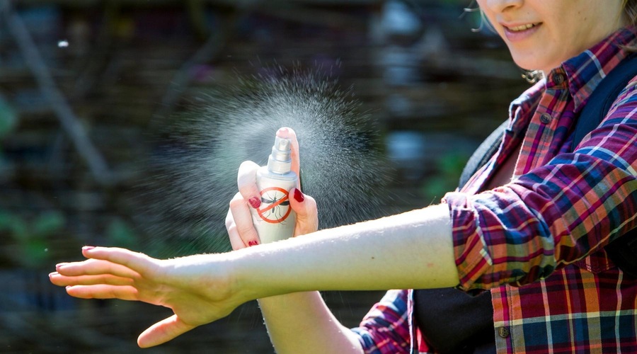TALE sestavina, ki jo imate v vaši kuhinji, zelo UČINKOVITO odganja komarje (foto: Profimedia)