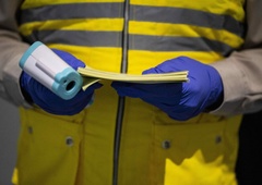 V Sloveniji potrdili nov primer opičjih koz