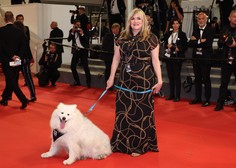 V središču fimskega festivala v Cannesu en prav POSEBEN pes
