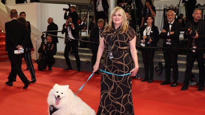 V središču fimskega festivala v Cannesu en prav POSEBEN pes (foto: Profimedia)