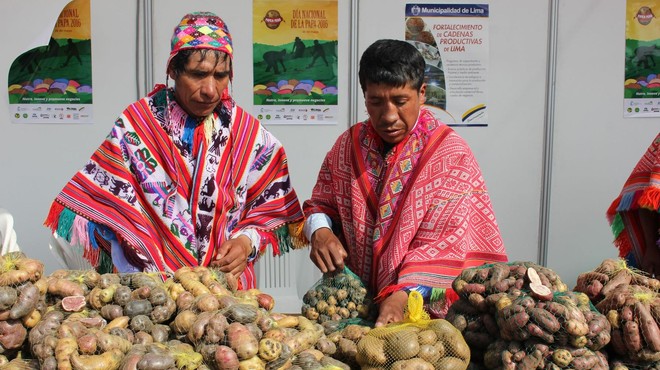 Slovenci smo največji ljubitelji krompirja, vendar nas TA narod prehiteva (foto: Profimedia)